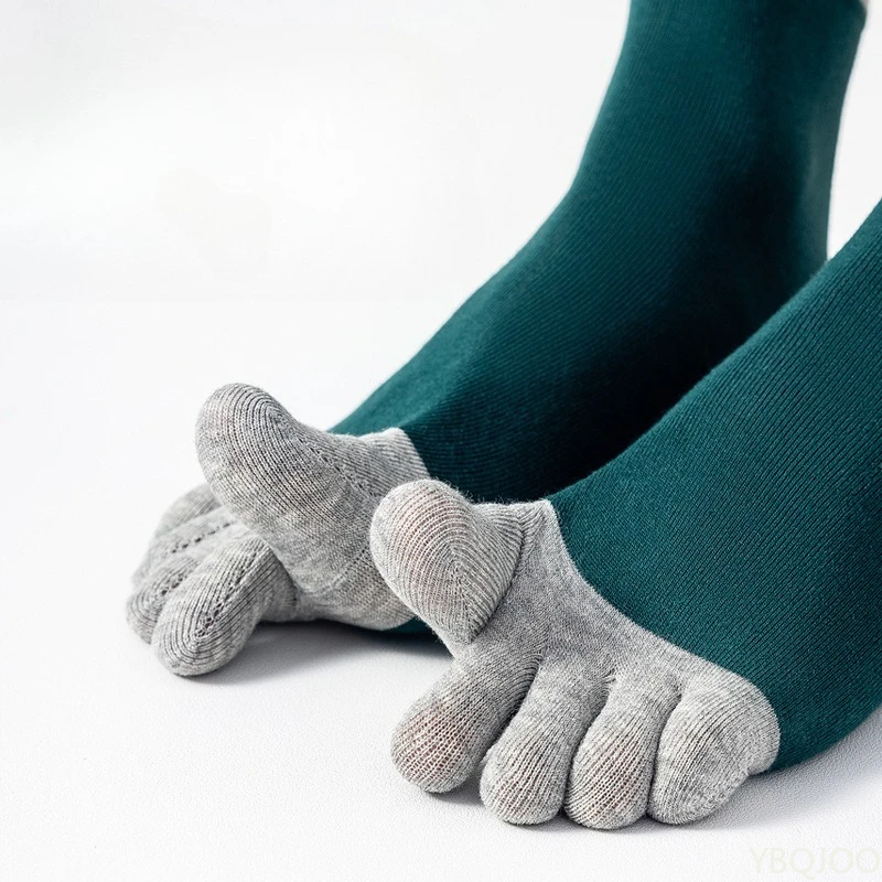 5 Pairs of Spring and Autumn F - Pipe Bending Spring 리뷰 및 가격