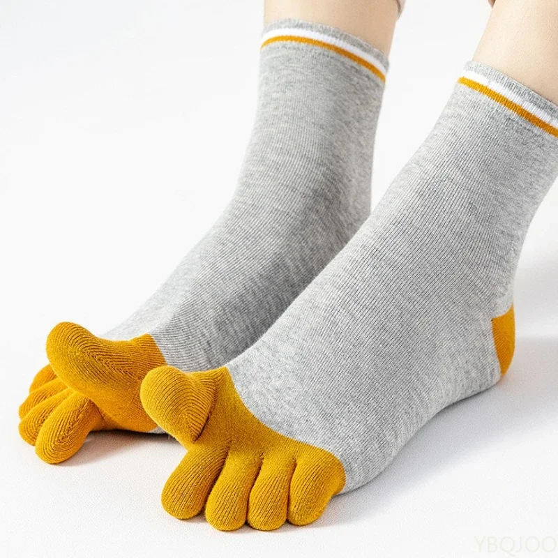 5 Pairs of Spring and Autumn F - Pipe Bending Spring 리뷰 및 가격